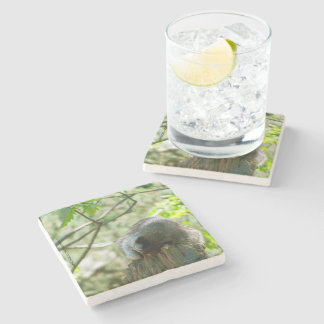 Sleeping Raccoon Stickers Stone Coaster