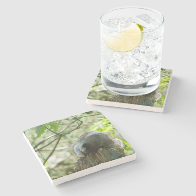 Sleeping Raccoon Stickers Stone Coaster (Side)
