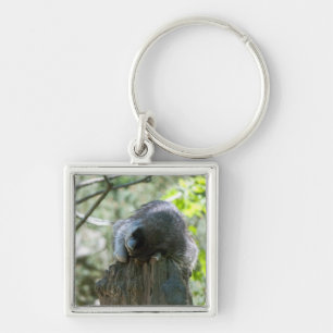 Sleeping Racoon Keychain
