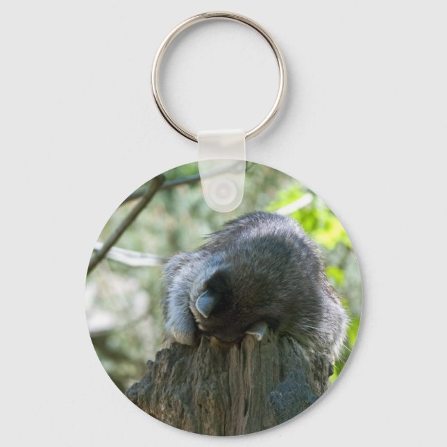 Sleeping Racoon Keychain (Front)