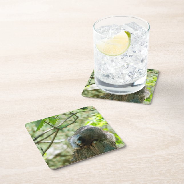 Sleeping Racoon Stickers Square Paper Coaster (Insitu)