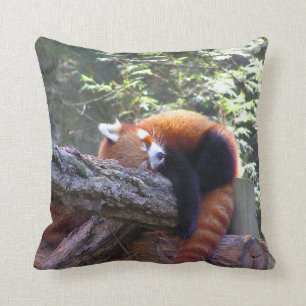 Sleeping Red Panda Cushion