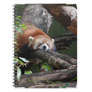Sleeping Red Panda Notebook