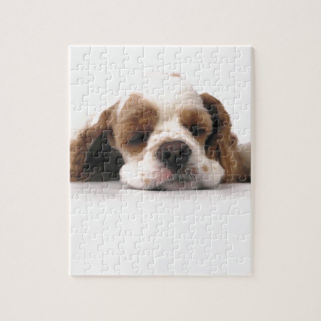 Sleeping Red/White Cocker Spaniel Jigsaw Puzzle (Vertical)
