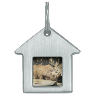 Sleeping Rhino Pet ID Tag
