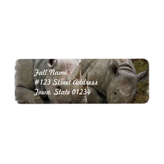 Sleeping Rhinos Mailing Labels (Front)