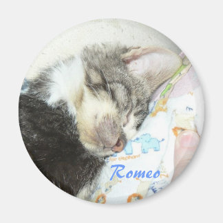 sleeping romeo magnet