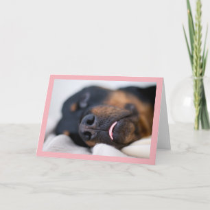 Sleeping Rottweiler Photo Card