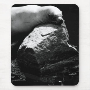 Sleeping Sea Lion .1781 Mouse Pad