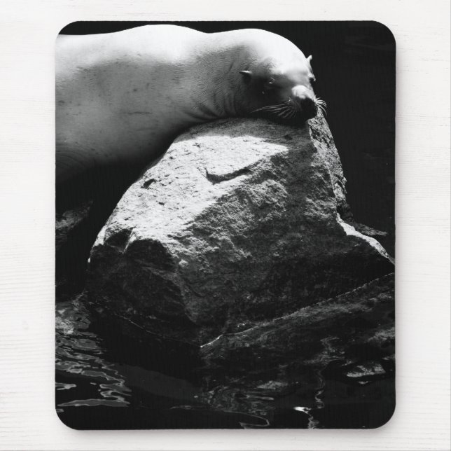 Sleeping Sea Lion .1781 Mouse Pad (Front)