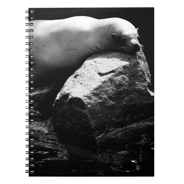 Sleeping Sea Lion .1781 Notebook (Front)
