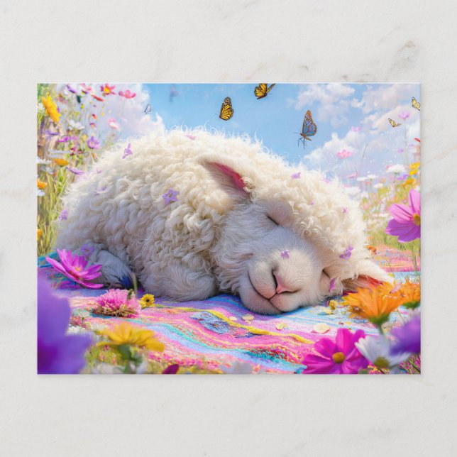 Sleeping sheep on meadow picnic blanket holiday postcard (Front)