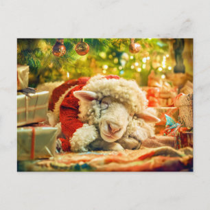 Sleeping sheep under Christmas tree lights Holiday Postcard