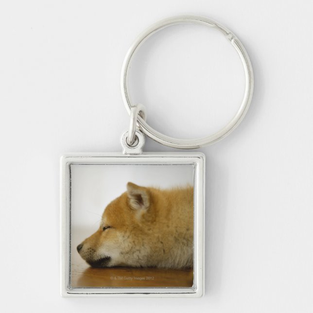 Sleeping Shiba-ken 2 Key Ring (Front)