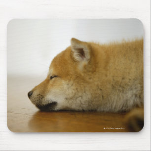 Sleeping Shiba-ken 3 Mouse Pad