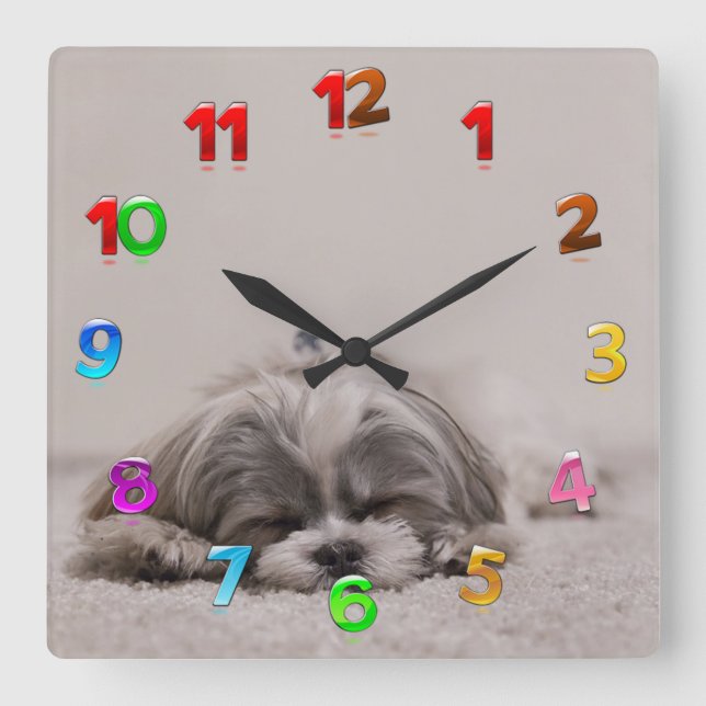 Sleeping Shih tzu Clock, Sleeping Dog Square Wall Clock (Front)