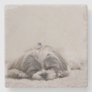 Sleeping Shih tzu Coaster, Sleeping Dog Stone Coaster