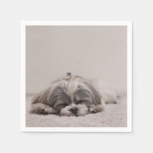Sleeping Shih tzu Cocktail Napkins, Sleeping Dog Napkin