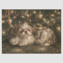 Sleeping Shih Tzu