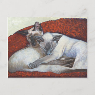 Sleeping Siamese Cat Art Postcard