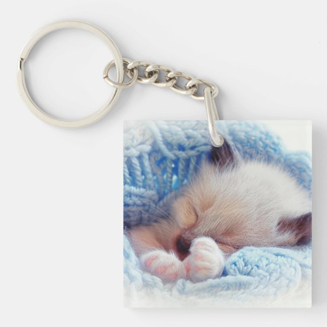 Sleeping Siamese Kitten Paws Key Ring (Front)