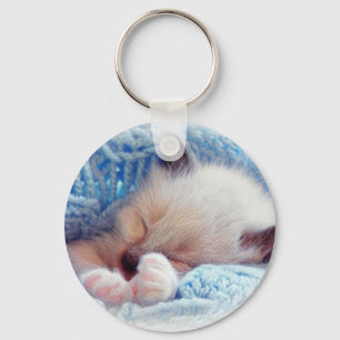 Sleeping Siamese Kitten Paws Key Ring
