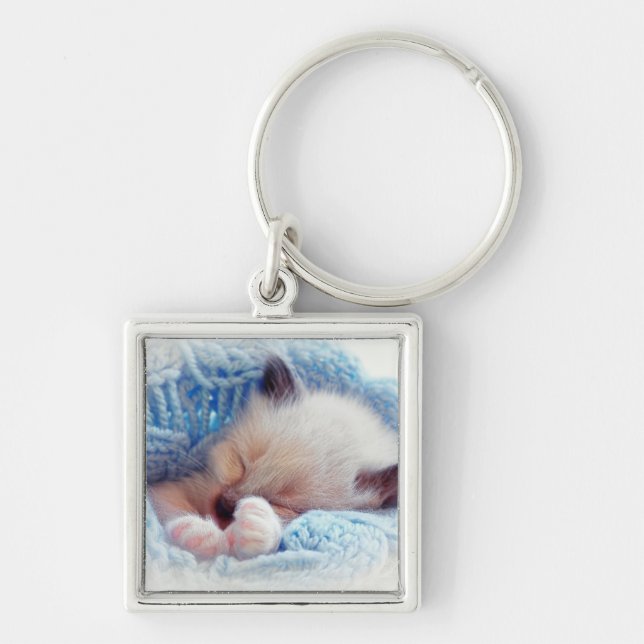 Sleeping Siamese Kitten Paws Key Ring (Front)