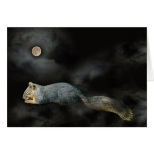 Sleeping Squirrel Card