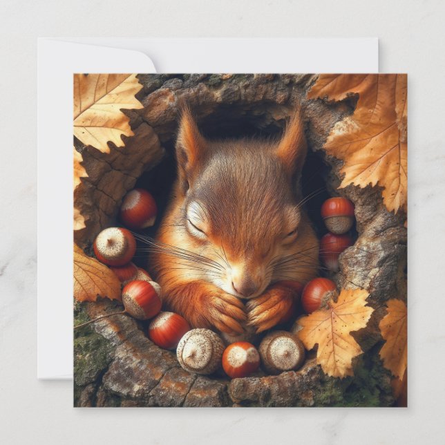 Sleeping Squirrel Greeting Card (Front)