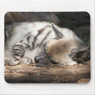 sleeping striped hyena mouse pad