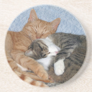 Sleeping Sweeties Coaster