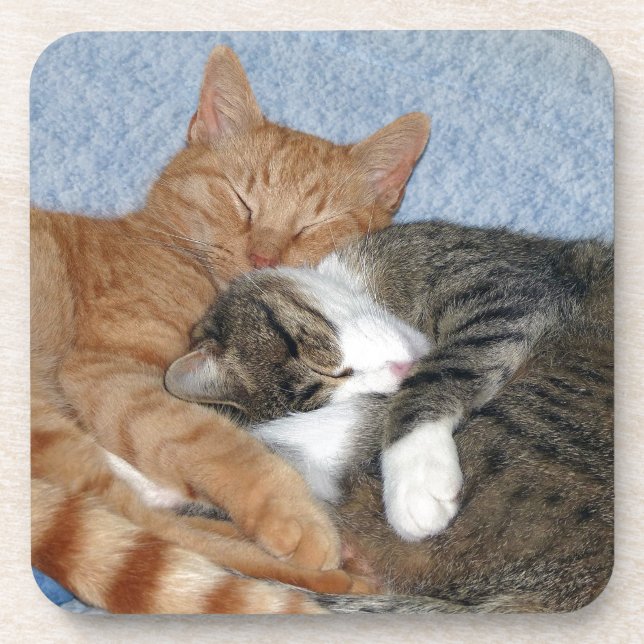 Sleeping Sweeties Coaster (Front)