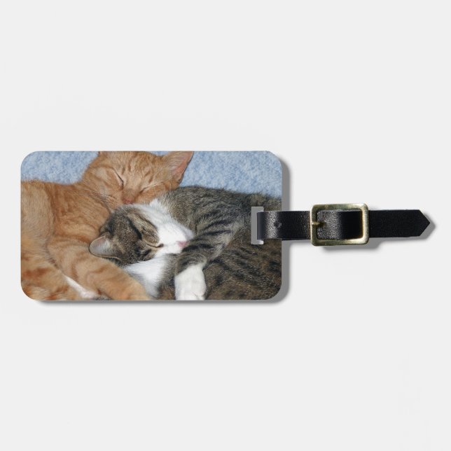 Sleeping Sweeties Luggage Tag (Front Horizontal)