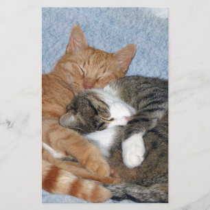 Sleeping Sweeties Stationery