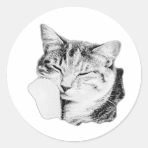 Sleeping Tabby Cat Monochrome Sticker