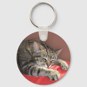 Sleeping Tabby Key Ring