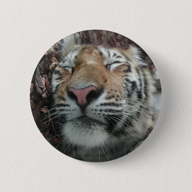 Sleeping Tiger 6 Cm Round Badge (Front)