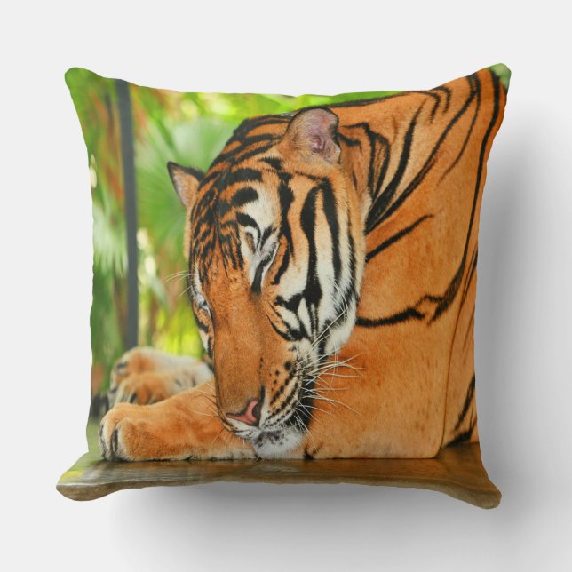 Sleeping Tiger Cushion (Front)