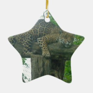 Sleeping Tiger on Tree, Forest, Nature, Wildlife Ceramic Tree Decoration