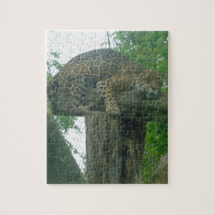 Sleeping Tiger on Tree, Forest, Nature, Wildlife Jigsaw Puzzle