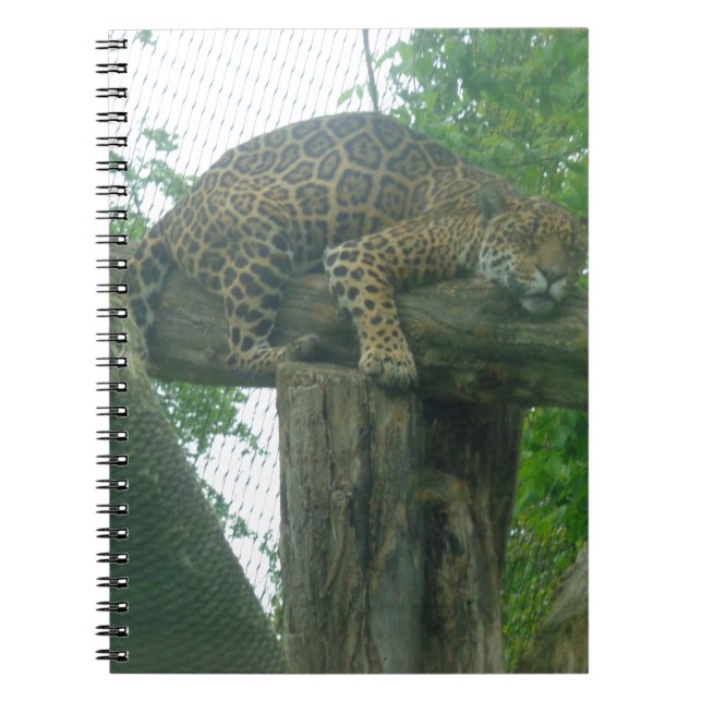 Sleeping Tiger on Tree, Forest, Nature, Wildlife Notebook (Front)