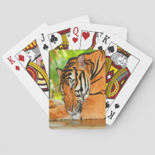 Sleeping Tiger Playing Cards