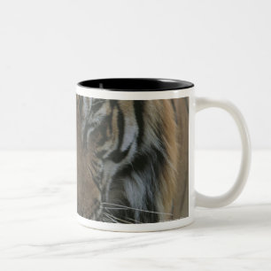 Sleeping Tiger Two-Tone Coffee Mug