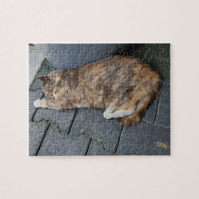 Sleeping tortie jigsaw puzzle (Horizontal)