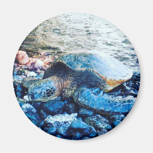 "Sleeping Turtle" Magnet (Front)