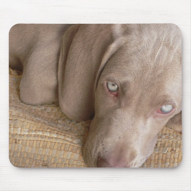 Sleeping Weimaraner Mouse Pad (Front)
