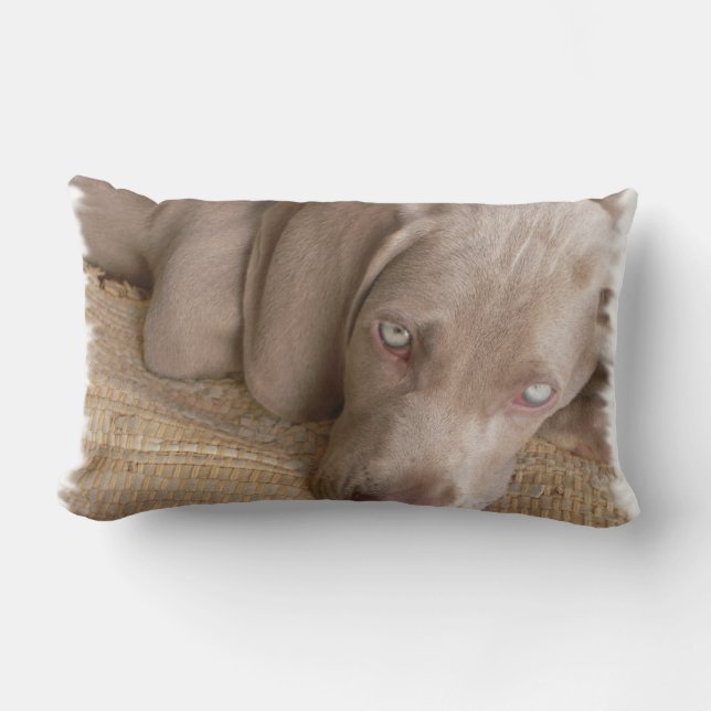 Sleeping Weimaraner Pillow (Front)