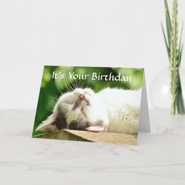 Sleeping White Cat Birthday Card (Front)
