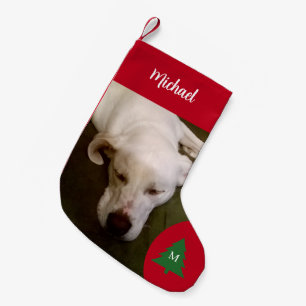 Sleeping White Puppy Dog Photo Small Christmas Stocking