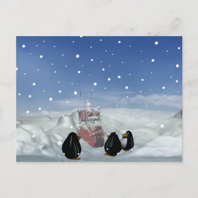 Sleeping with the Penguins Postcard (Front)